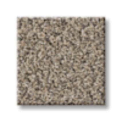 Shaw Smithtown Bay Earth Tone Texture Carpet with Pet Perfect Plus-Sample